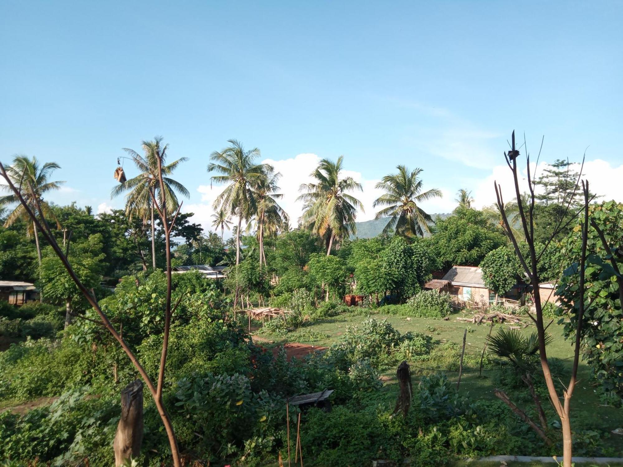 Ramdan Homestay Kuta  Oda fotoğraf